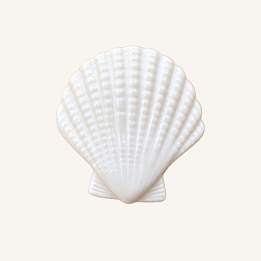 aplique-concha-scallop-p12068-foto-01-fundo-f8f5f0