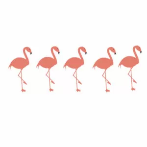 decalques-flamingos