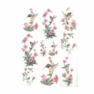 folha-decalque-beija-flor