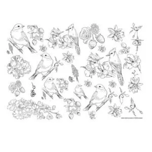 decalques-contorno-pássaros-tapete