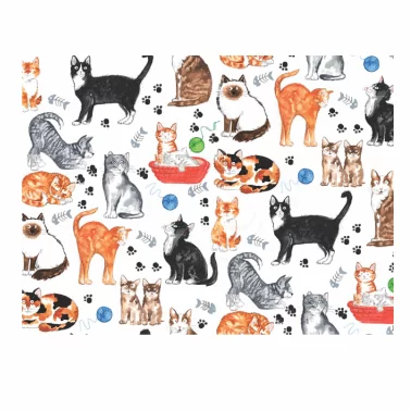 decalques-cat
