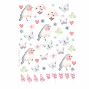 decalques-pássaros-aquarela