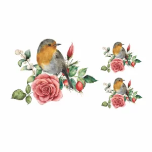 Decalques Colorful Birds