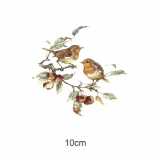 Decalques Pássaros Robin