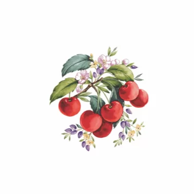 Decalques Cereja 9,5cm