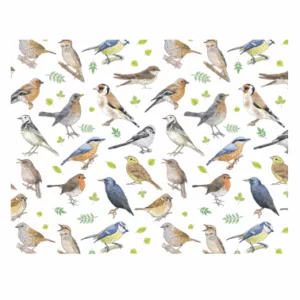 Decalques Canção dos Pássaros