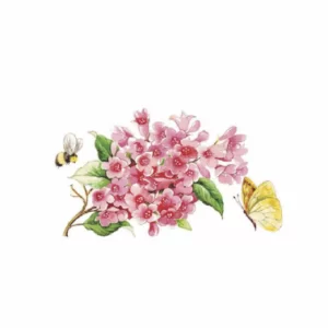 Decalques Flores com Insetos 12cm