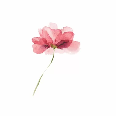 Decalques Flores Aquarela