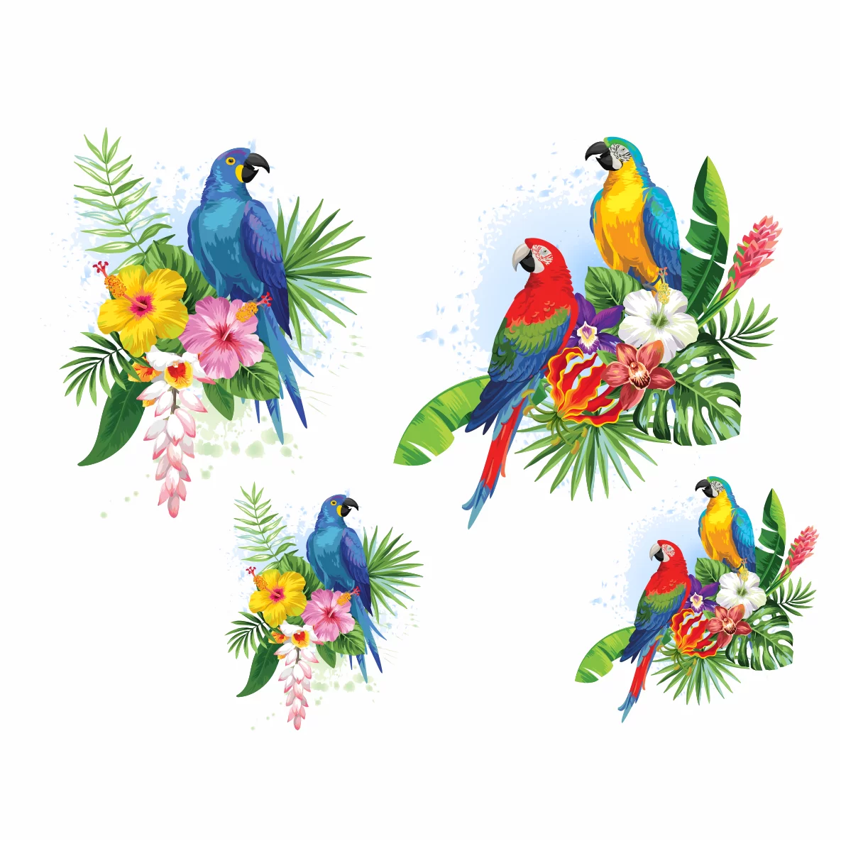 Decalques Araras Coloridas