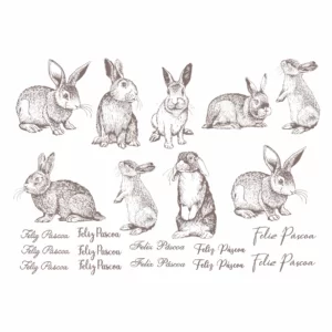 Decalques Coelhos Sépia