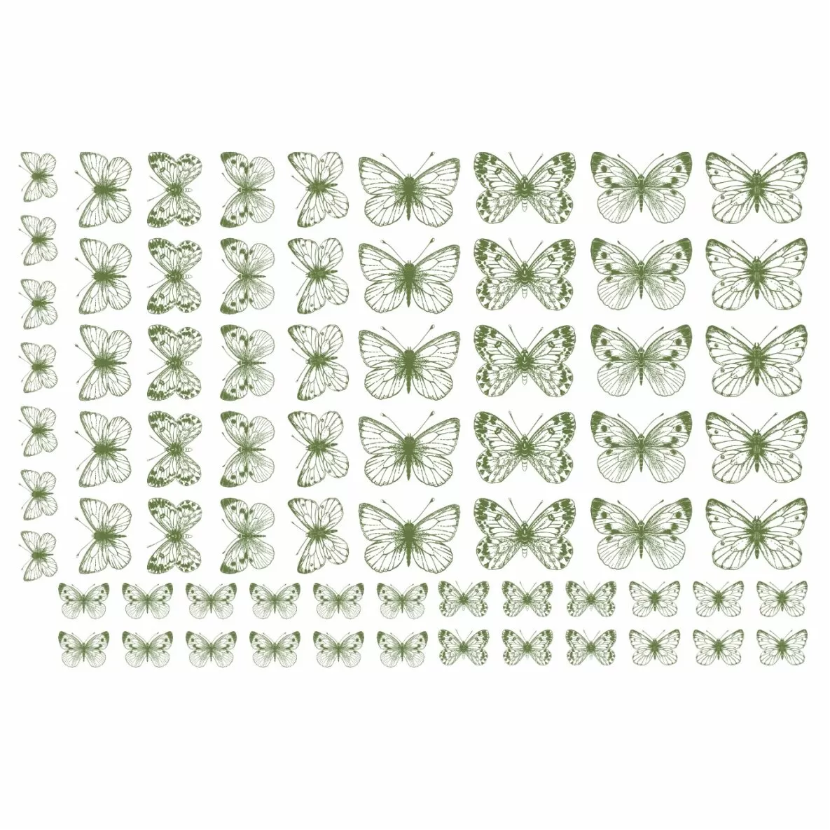 Decalques Borboletas Verde