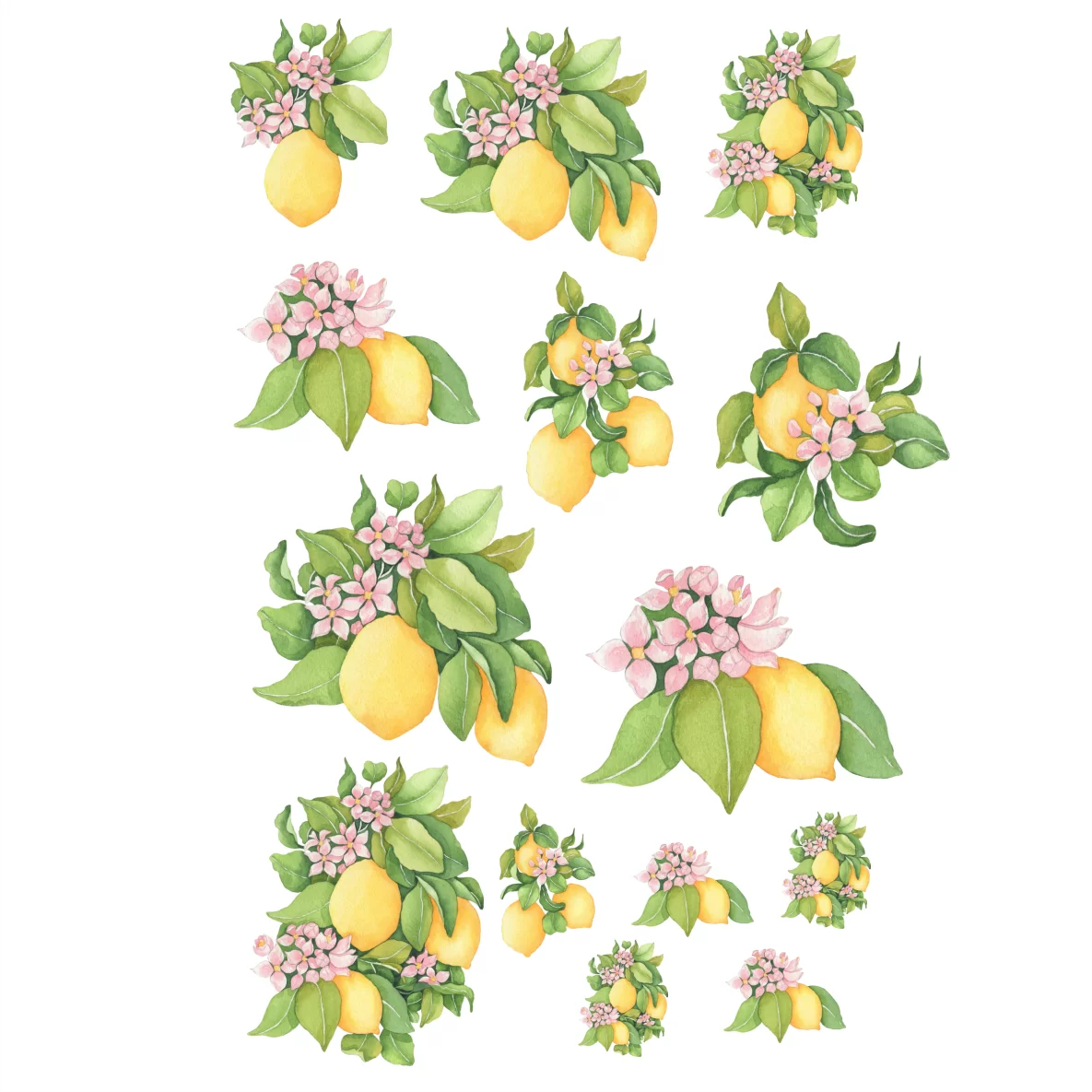 Decalques Limão Siciliano com Flores