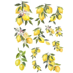 Decalques Arte Limão Siciliano