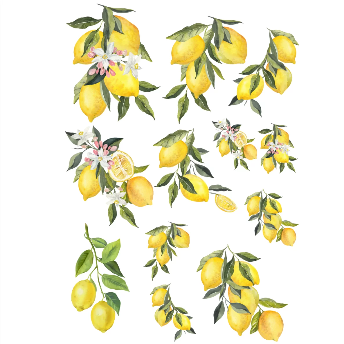 Decalques Arte Limão Siciliano