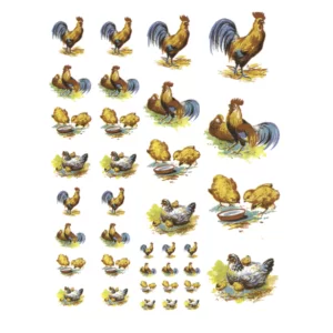 Decalques Mini Galinhas com Pintinhos