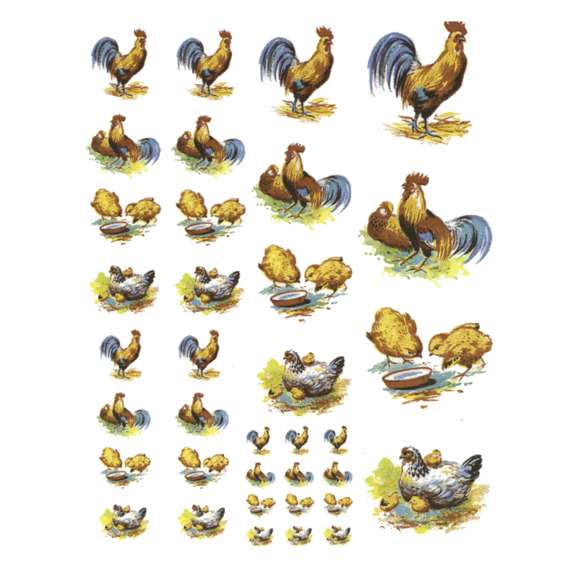 Decalques Mini Galinhas com Pintinhos