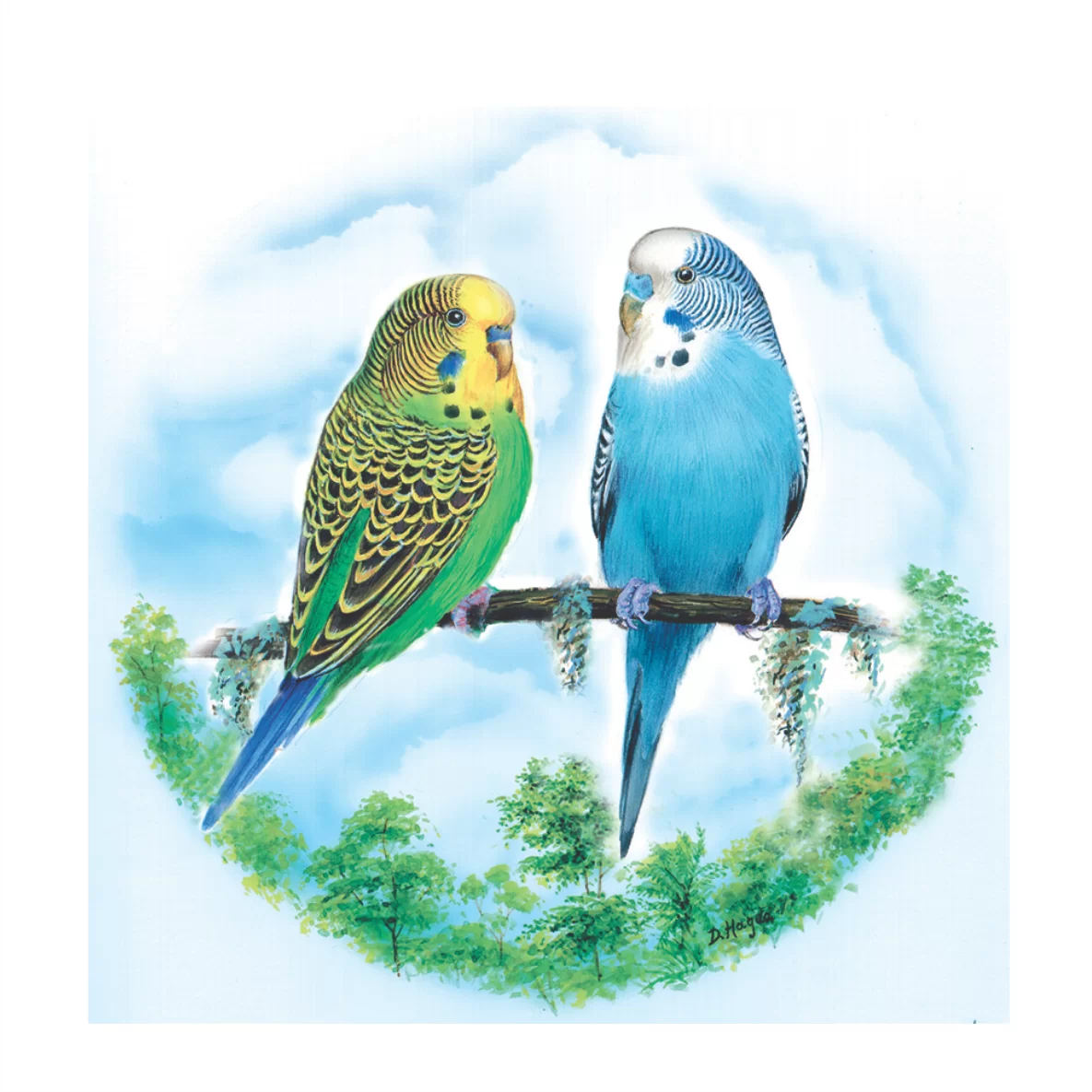 Decalques Pires Desenho Periquito