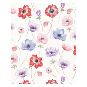 Decalques Flores Anêmona