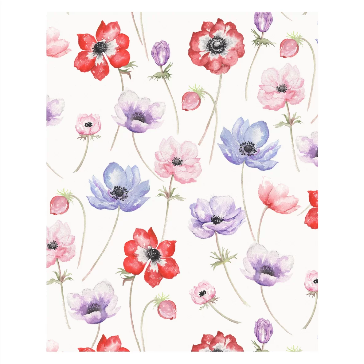 Decalques Flores Anêmona