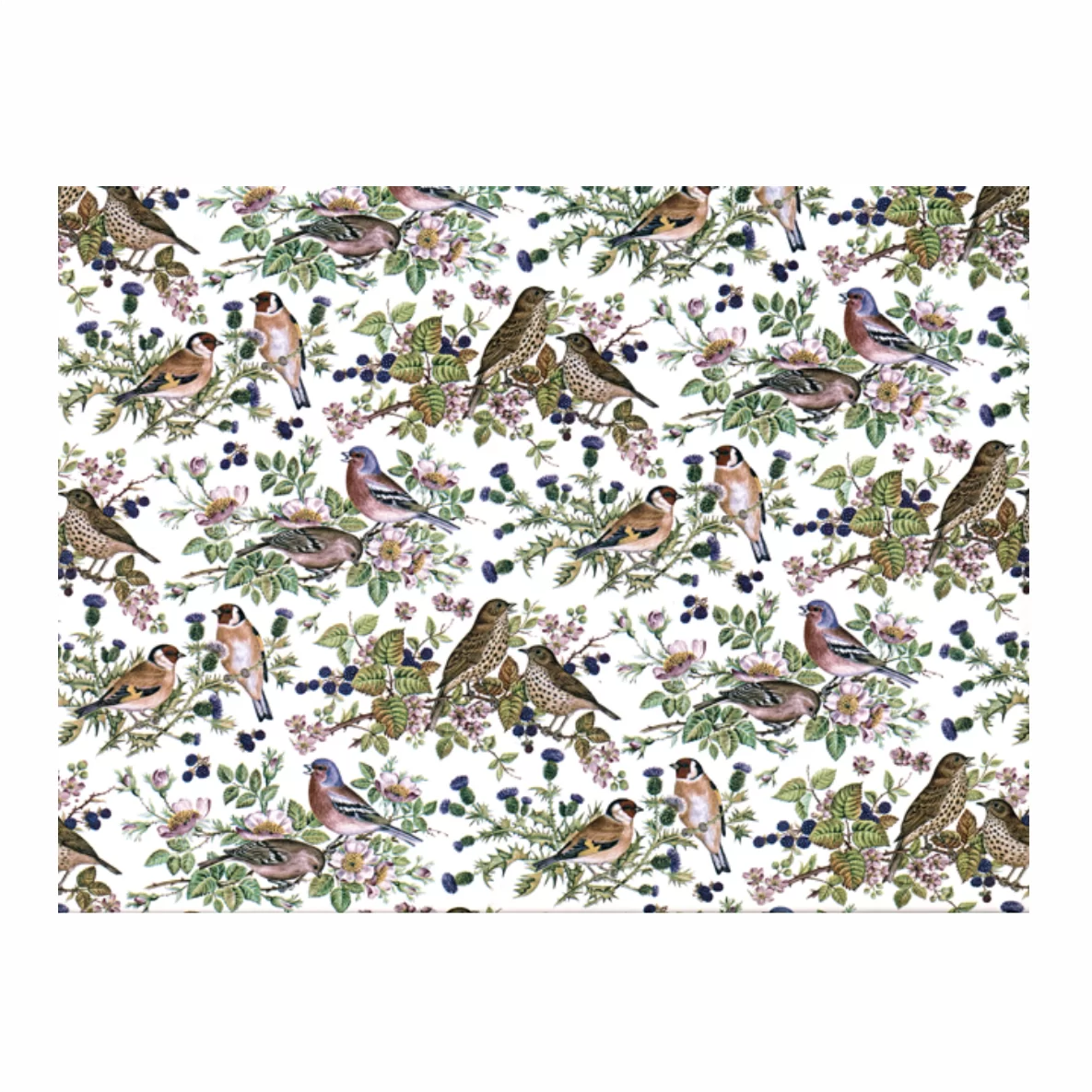 Decalques Pássaros no Galho