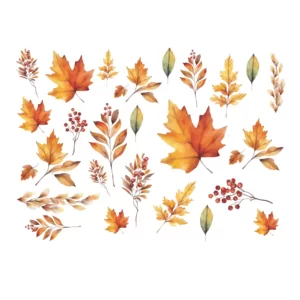 Decalques Flores de Inverno