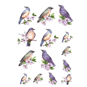 Decalques Pássaros com Flores Aquarela