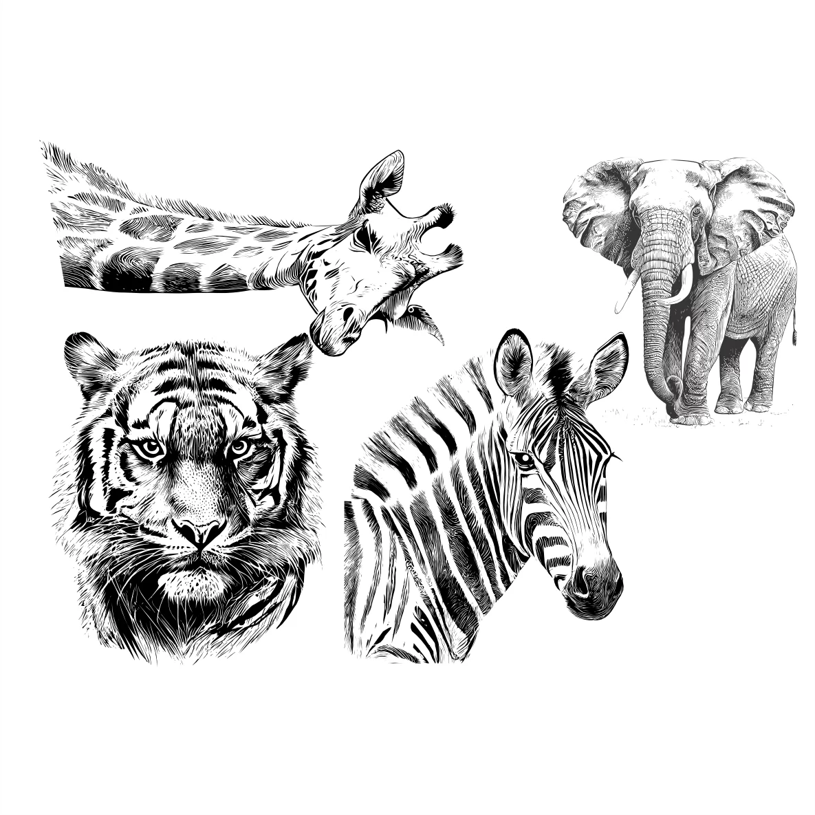 Decalques Bichos - 2