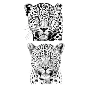 Decalques Onça Porcelana