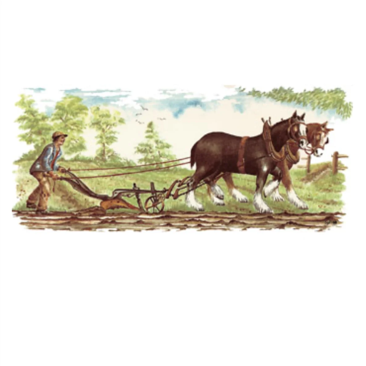 Decalques Caneca Cavalo 1