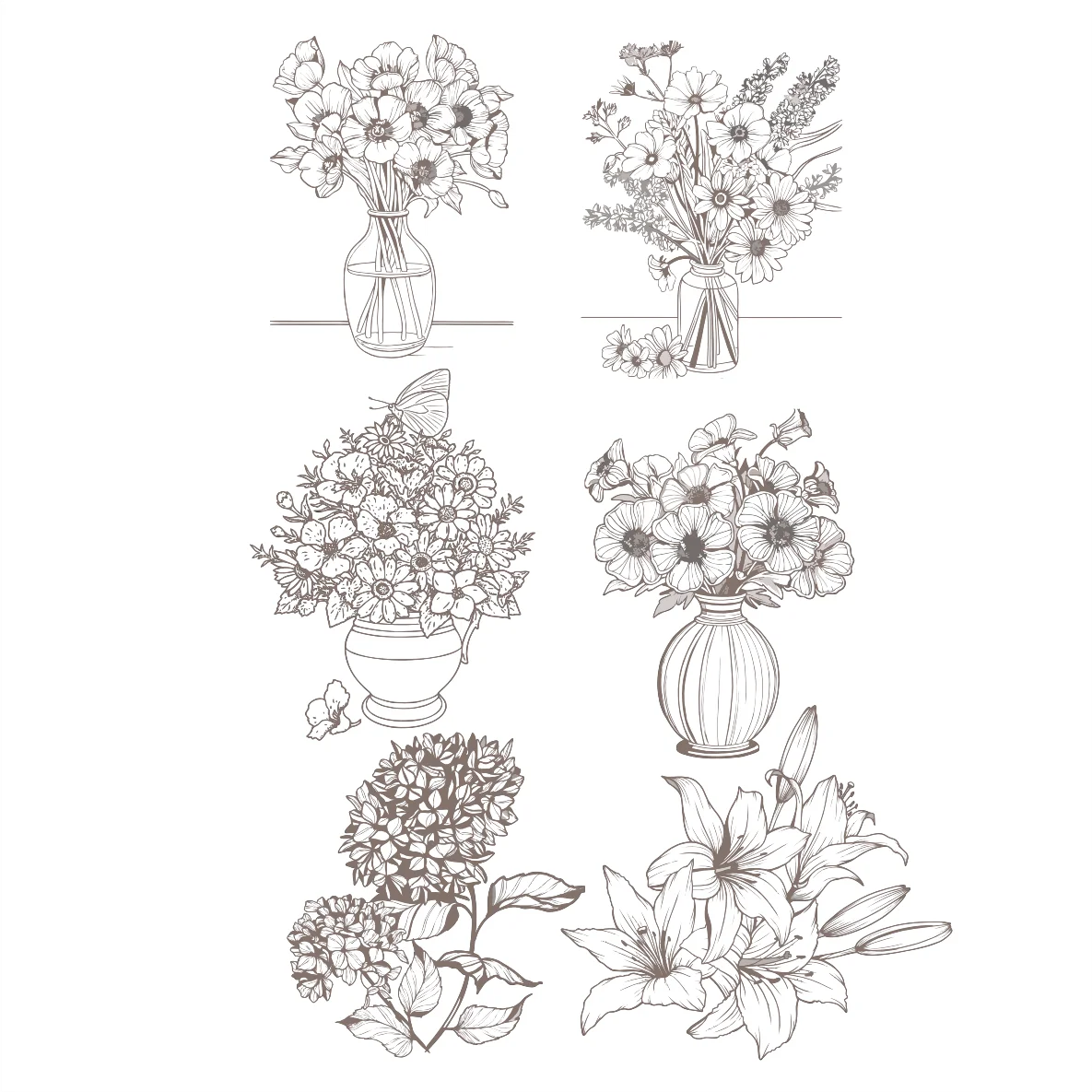 Decalques Vasos - Sépia