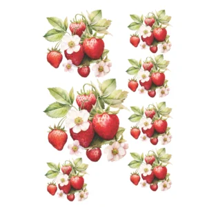 Decalque Tapete Morango