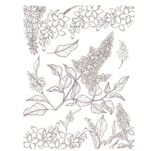 Decalques Contorno Flores Sépia - 2