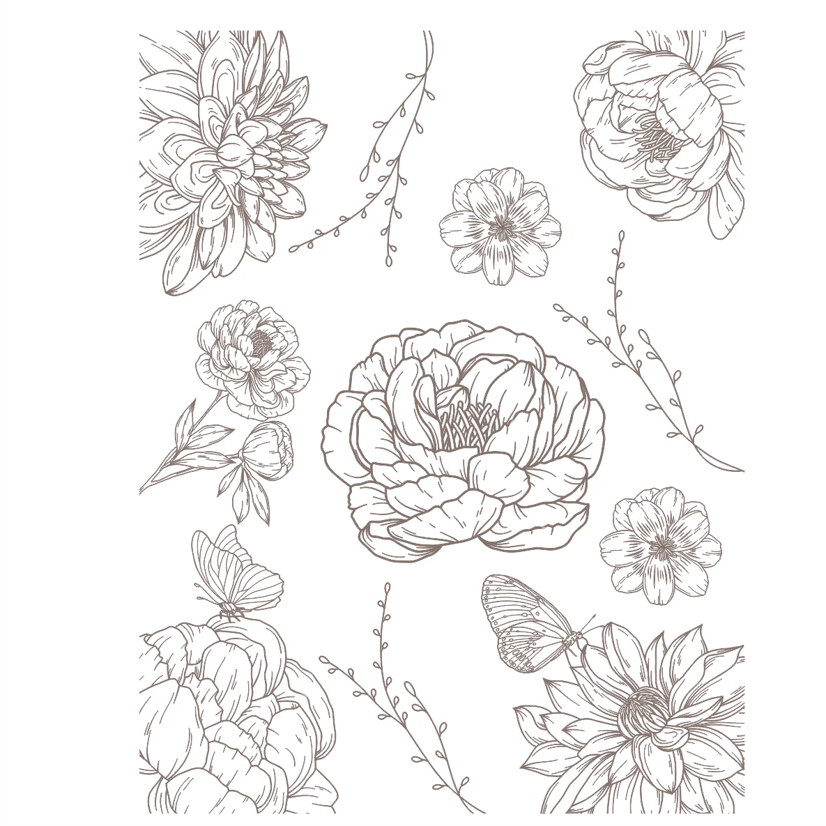 Decalques Contorno Flores Sépia - 3