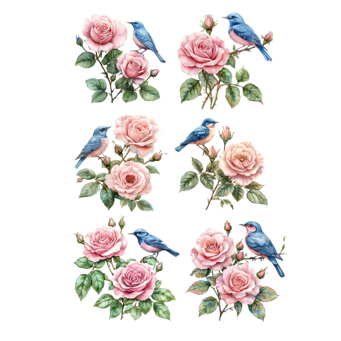 Decalques Pássaros com Rosas