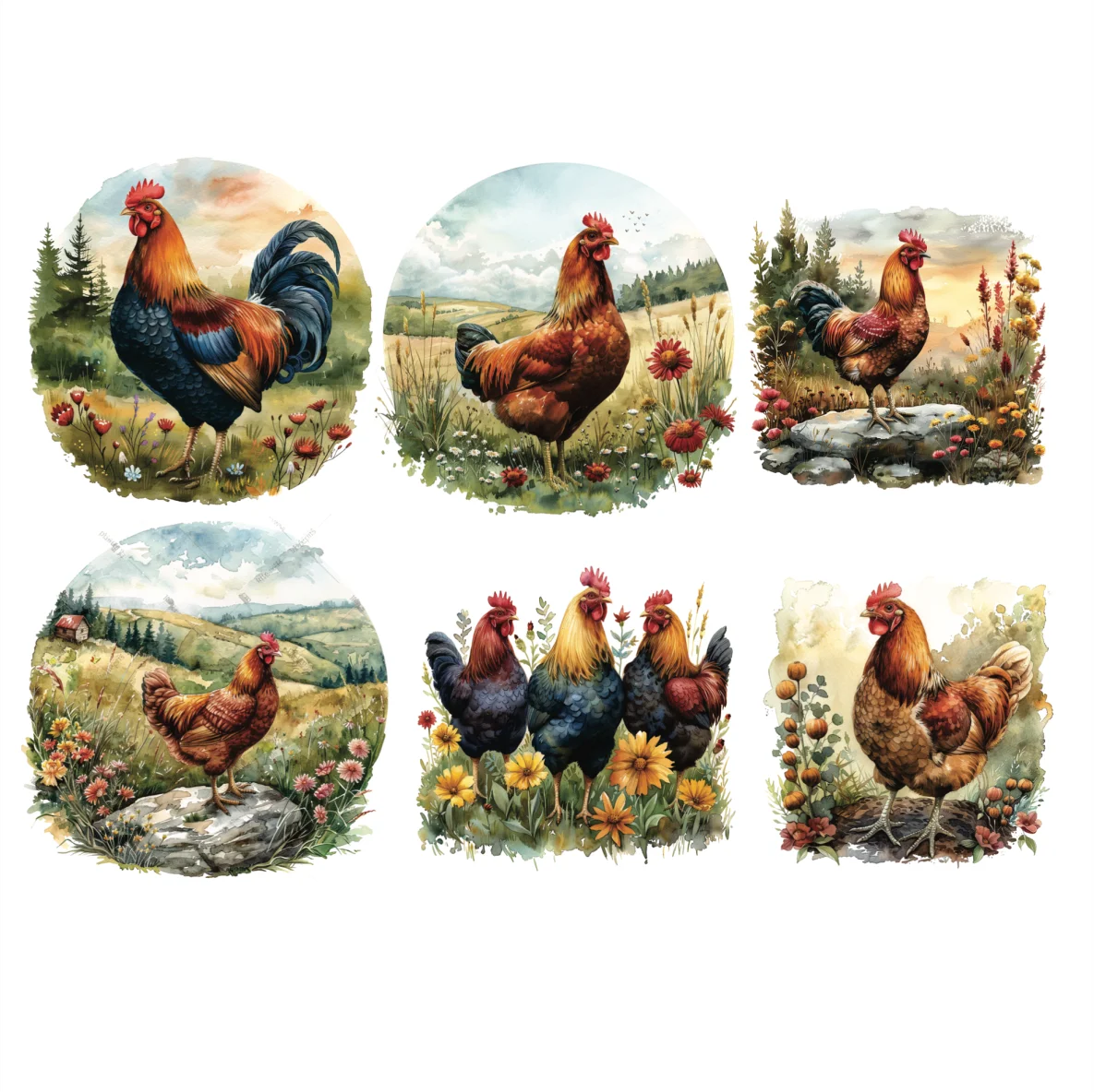 Decalques Galinha com Paisagem