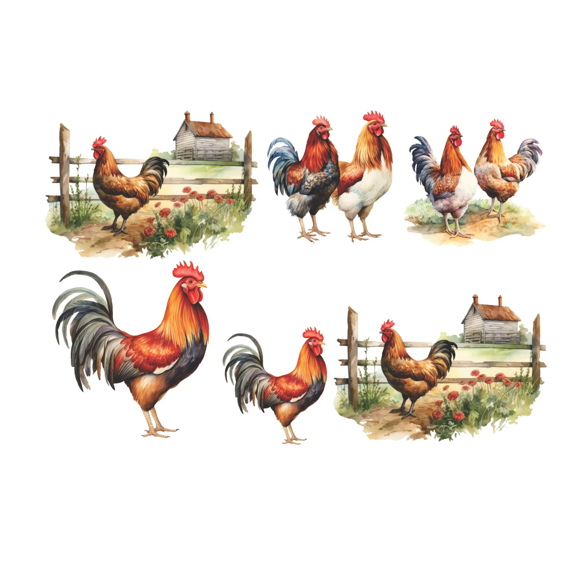 Decalques Galo e Galinhas
