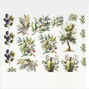 Decalques Oliveiras
