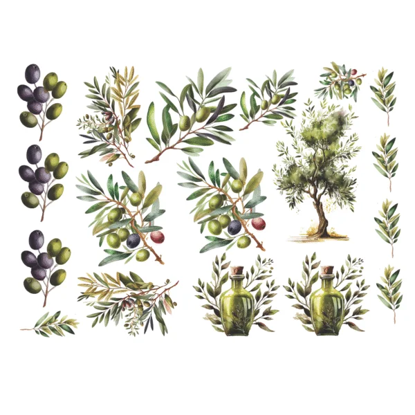 Decalques Oliveiras