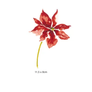 Decalques Poinsétia 11,5 x 8cm