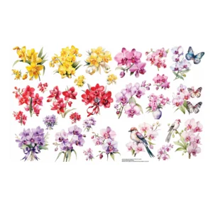 Decalques Orquídea