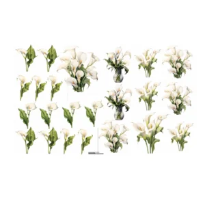 Decalques Copo de Leite