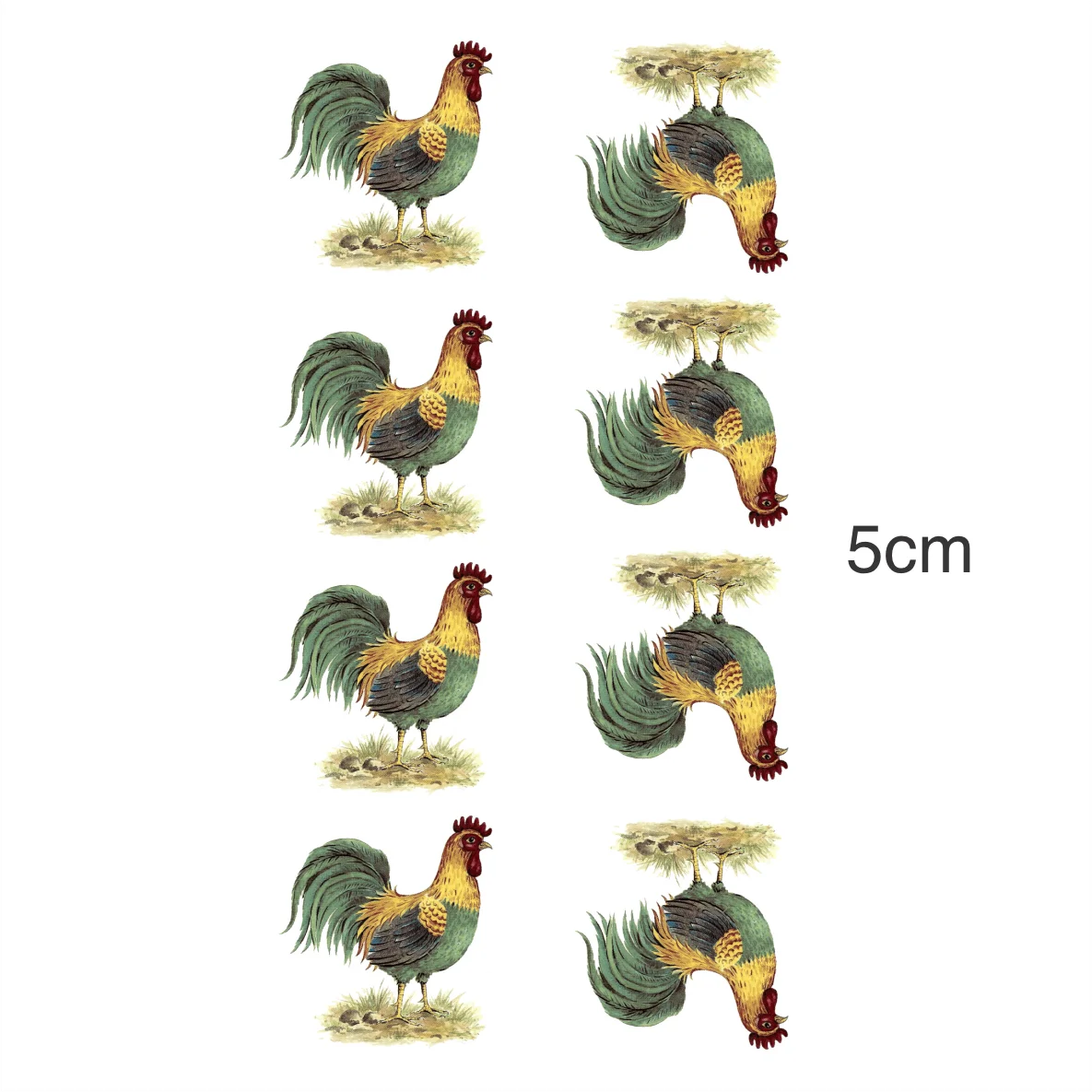 Decalques Galo - 5cm