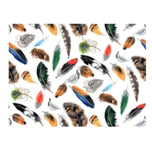 Decalques Penas Coloridas