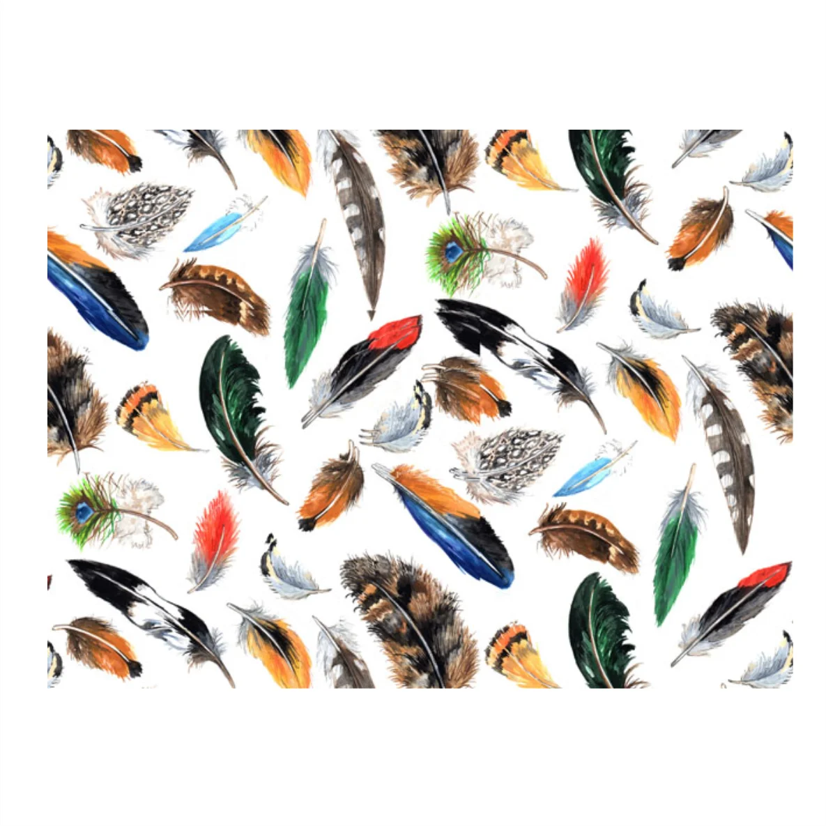 Decalques Penas Coloridas