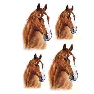 Decalques Cavalos
