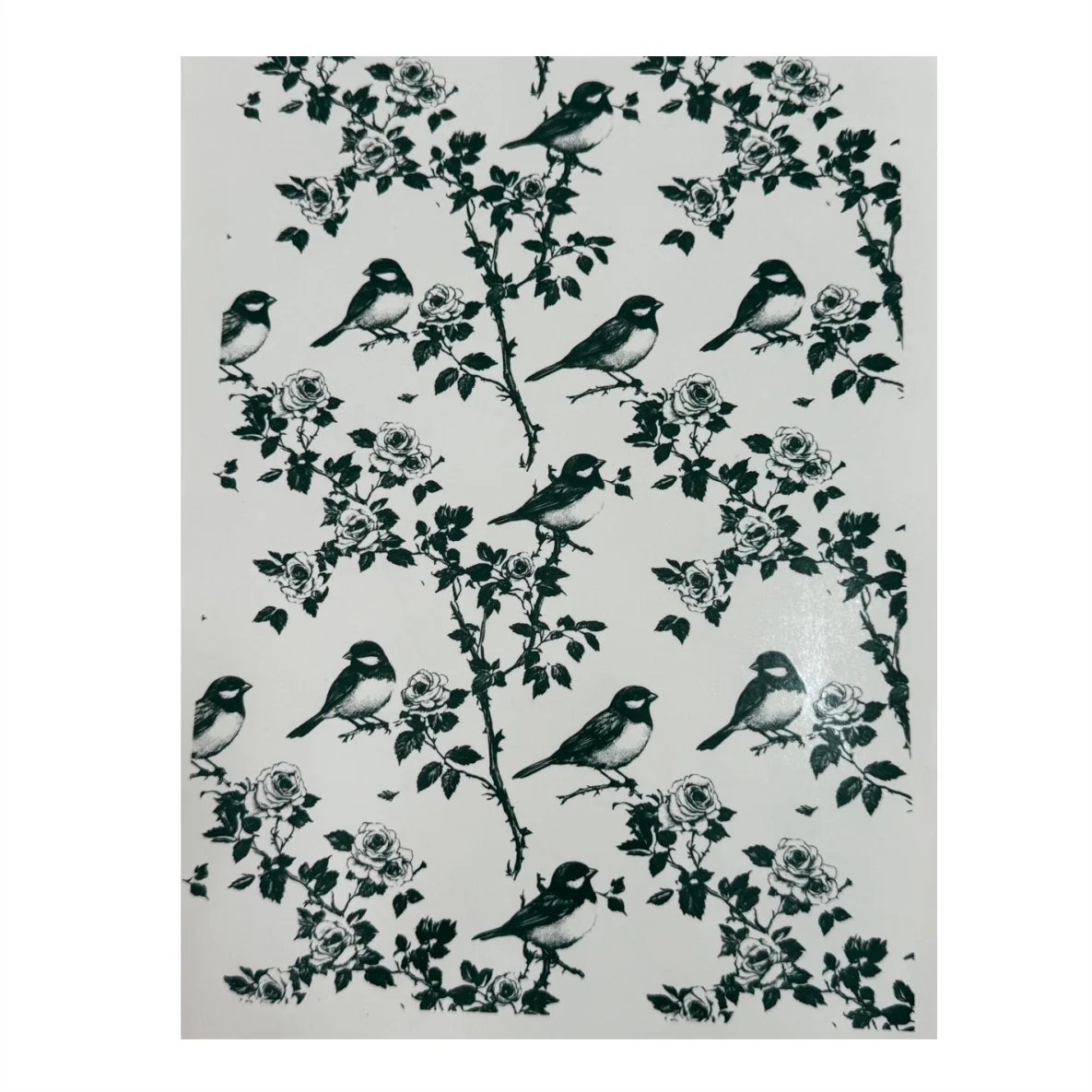 Decalques Pássaros Toile - Verde Escuro - Imagem 2