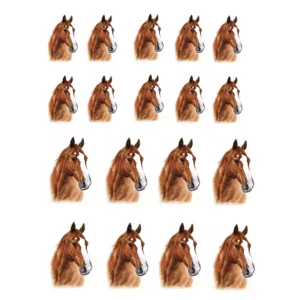 Decalques Cavalos Pequenos