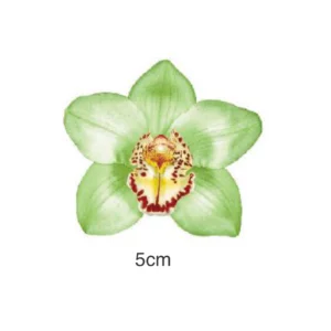 Decalques Orquídea Verde - 5cm