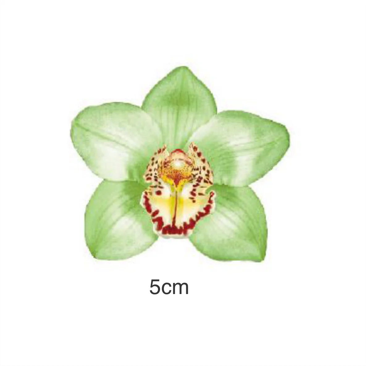 Decalques Orquídea Verde - 5cm