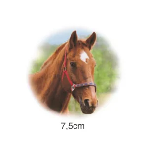 Decalque Cavalo - 7,5cm